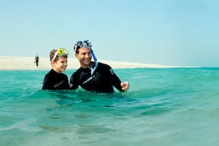 divers in the sea