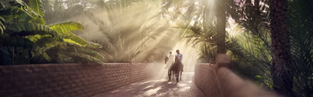 horse riding through trees