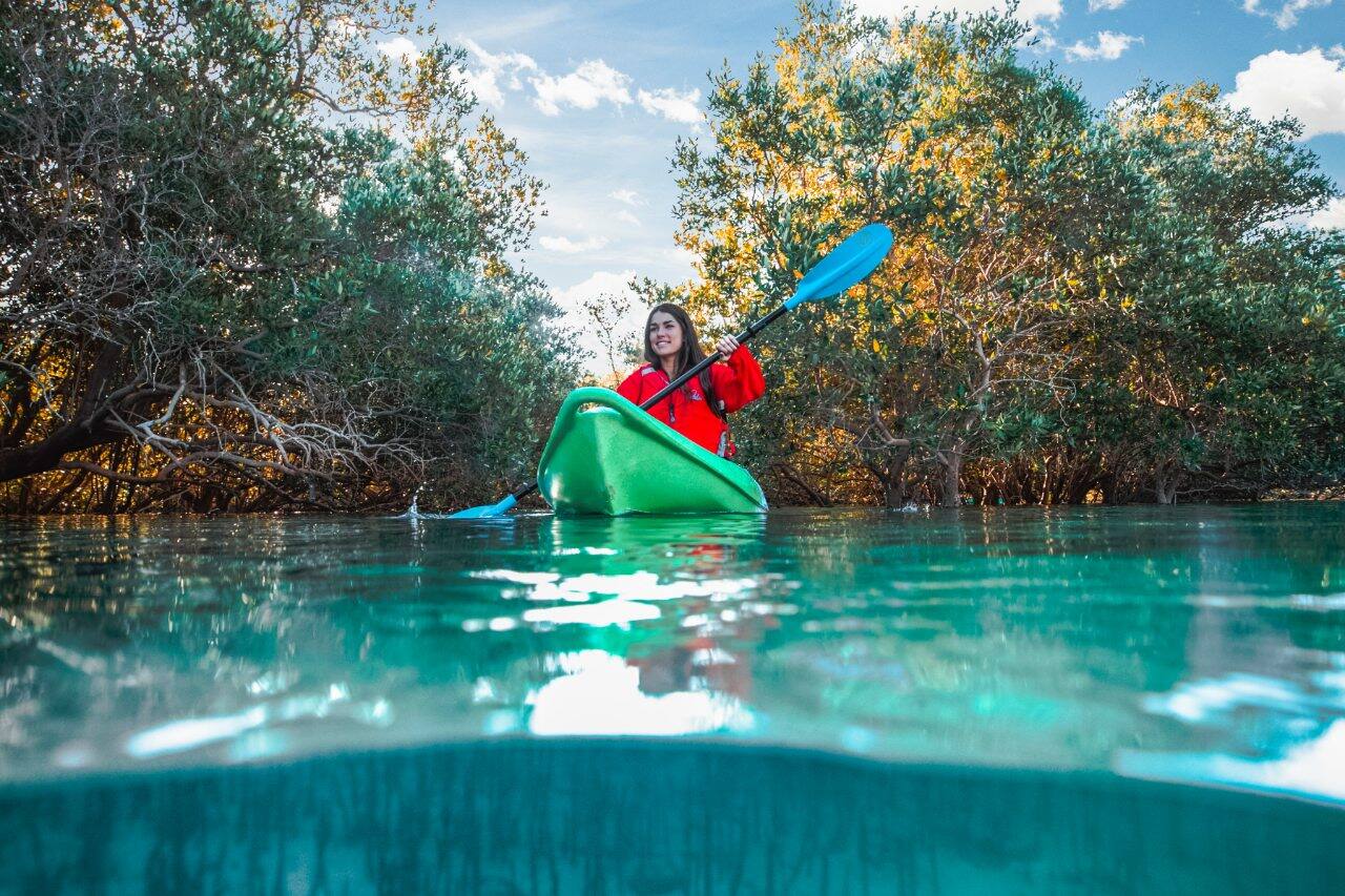kayaking at mangrove national park 