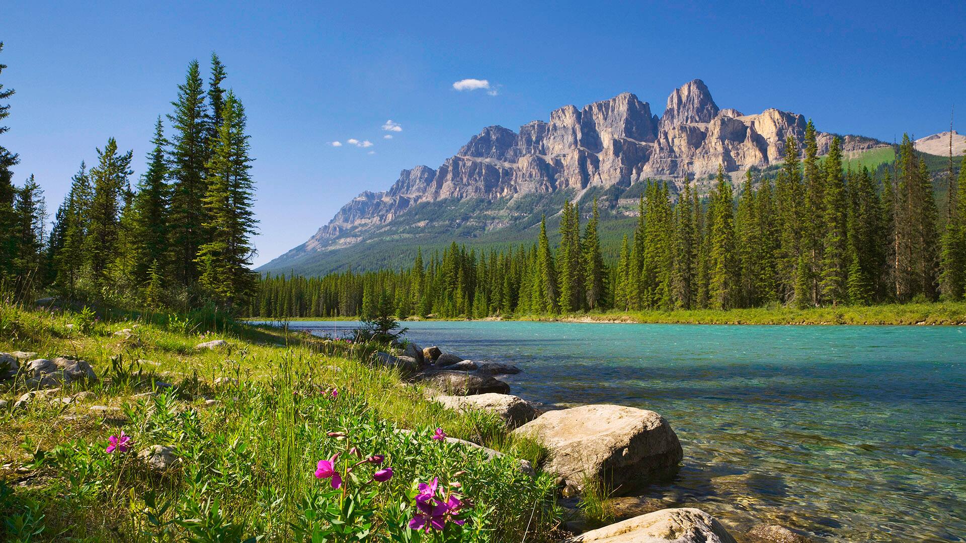 Banff National Park, featuring Castle Mountain and Bow River