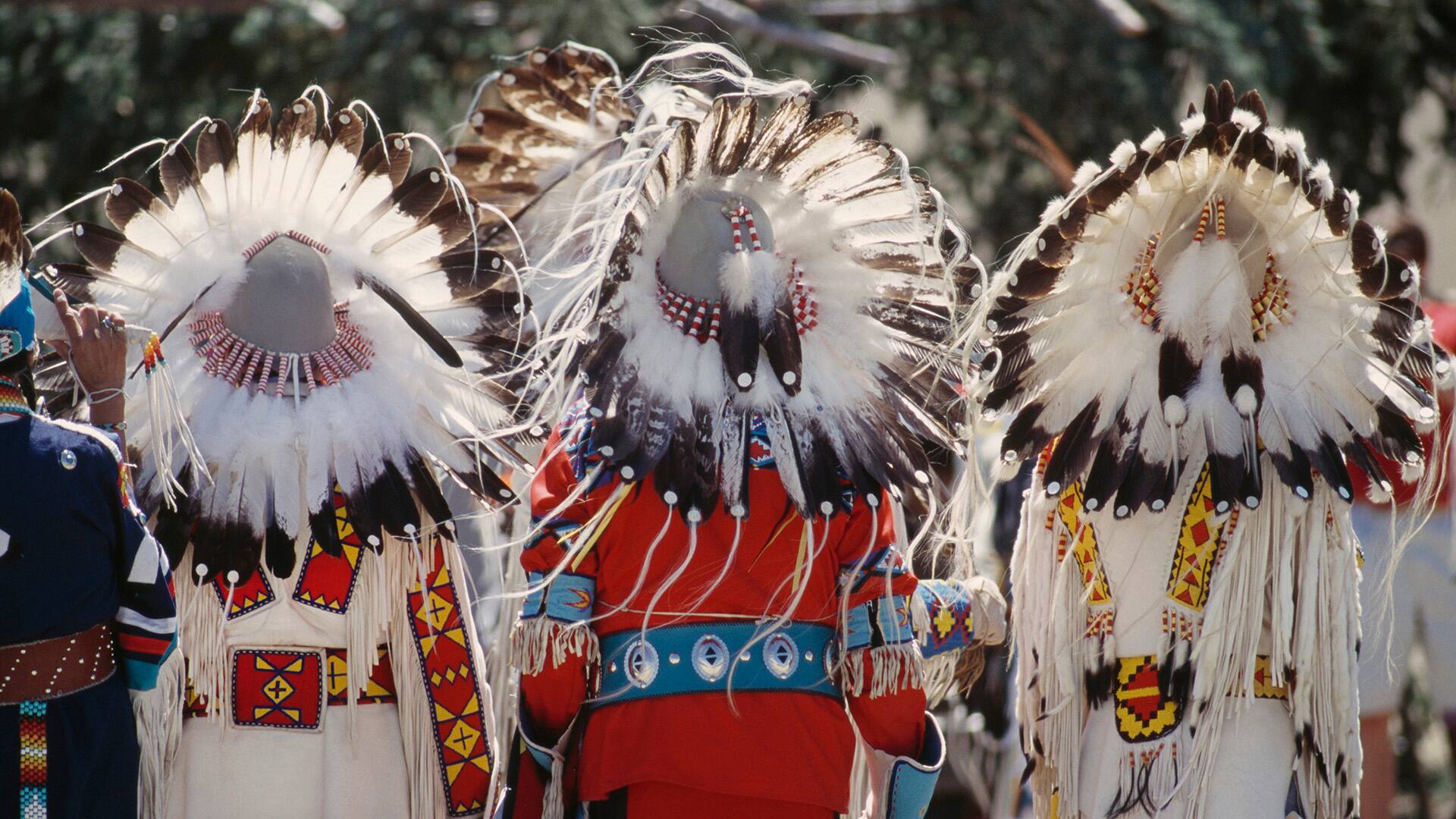 Rear view of three chief's head dresses of eagle feathers