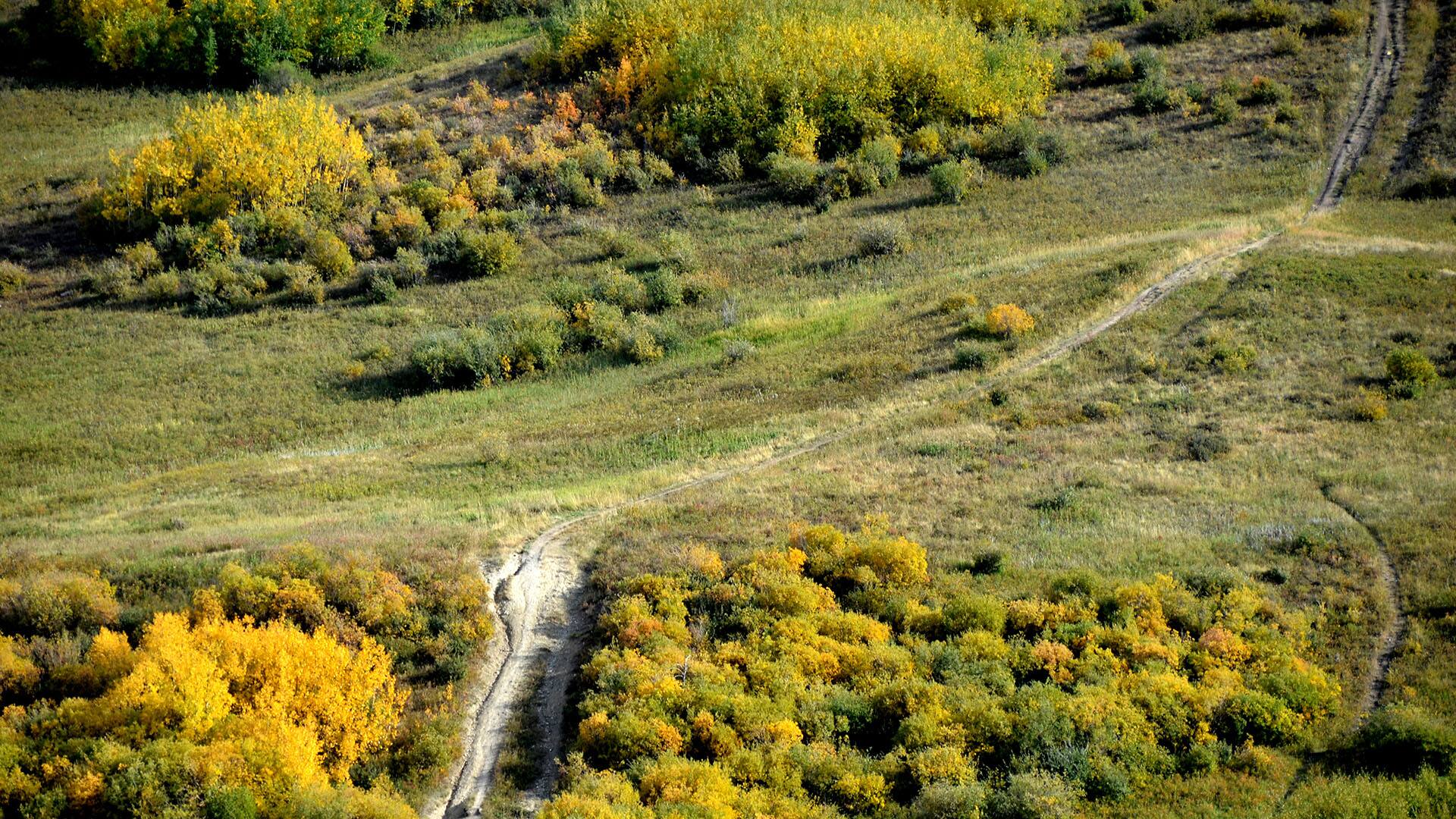 Bicycle trail running through small trees winds its way up grassy slope