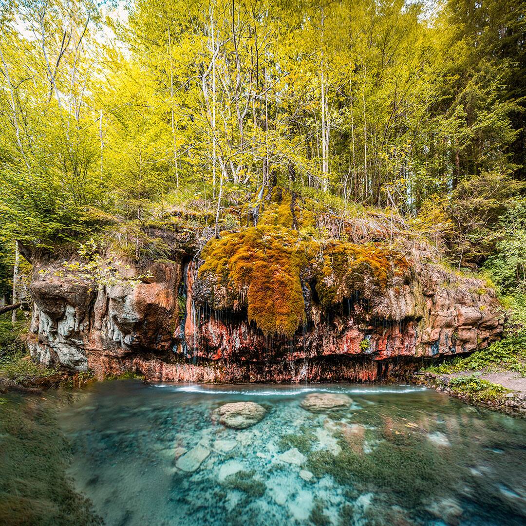 Scenic view of lake in forest,Mullerthal,Waldbillig,Luxembourg