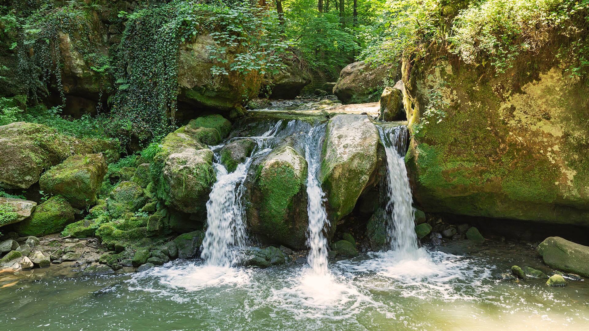 Schiessentuempel waterfall in Mullerthal, Luxembourg's Little Switzerland, surrounded by lush greenery and rocks