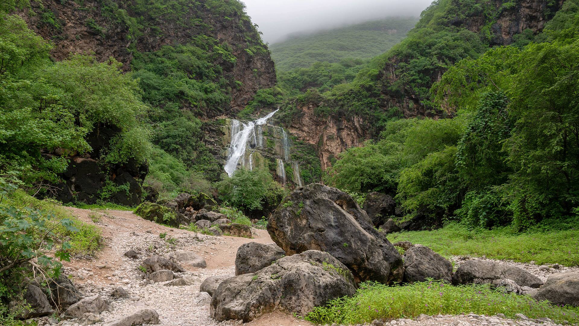 Ayn Khor, Salalah, Oman