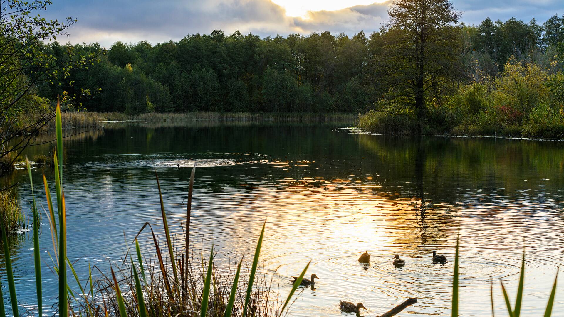 Stunning view of famous blue lake with sunrise and orange sky under dense clouds. Kazan, Russia. Ducks are swimming in the morning