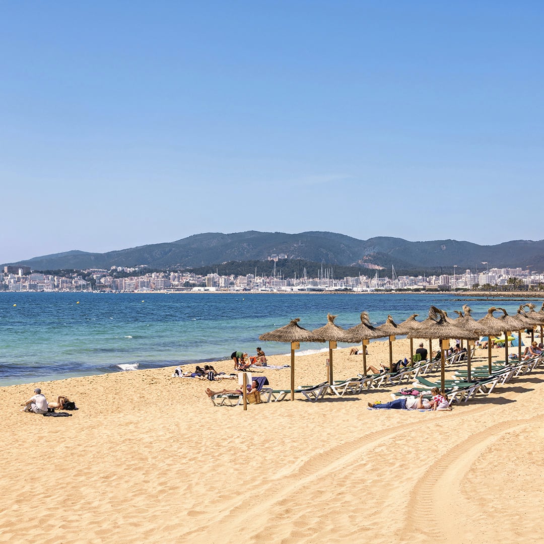 Sand beach by the blue mediterranean sea with sunbathing people at sun lounger and the palma city in the background a sunny day by the sea, Palma de Mallorca, Mallorca, Spain, Europe