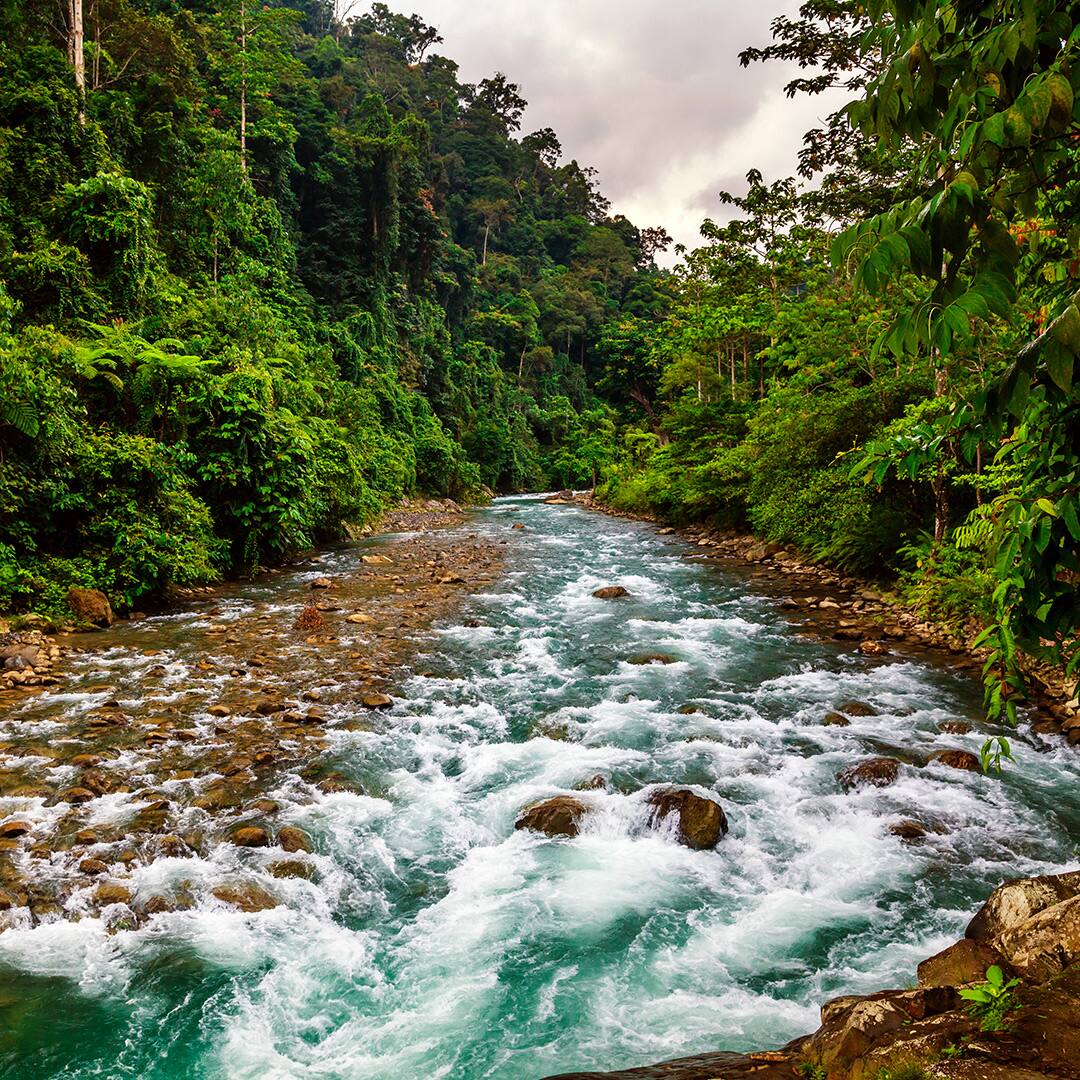 itinerary-day-3-bukit-lawang-gi