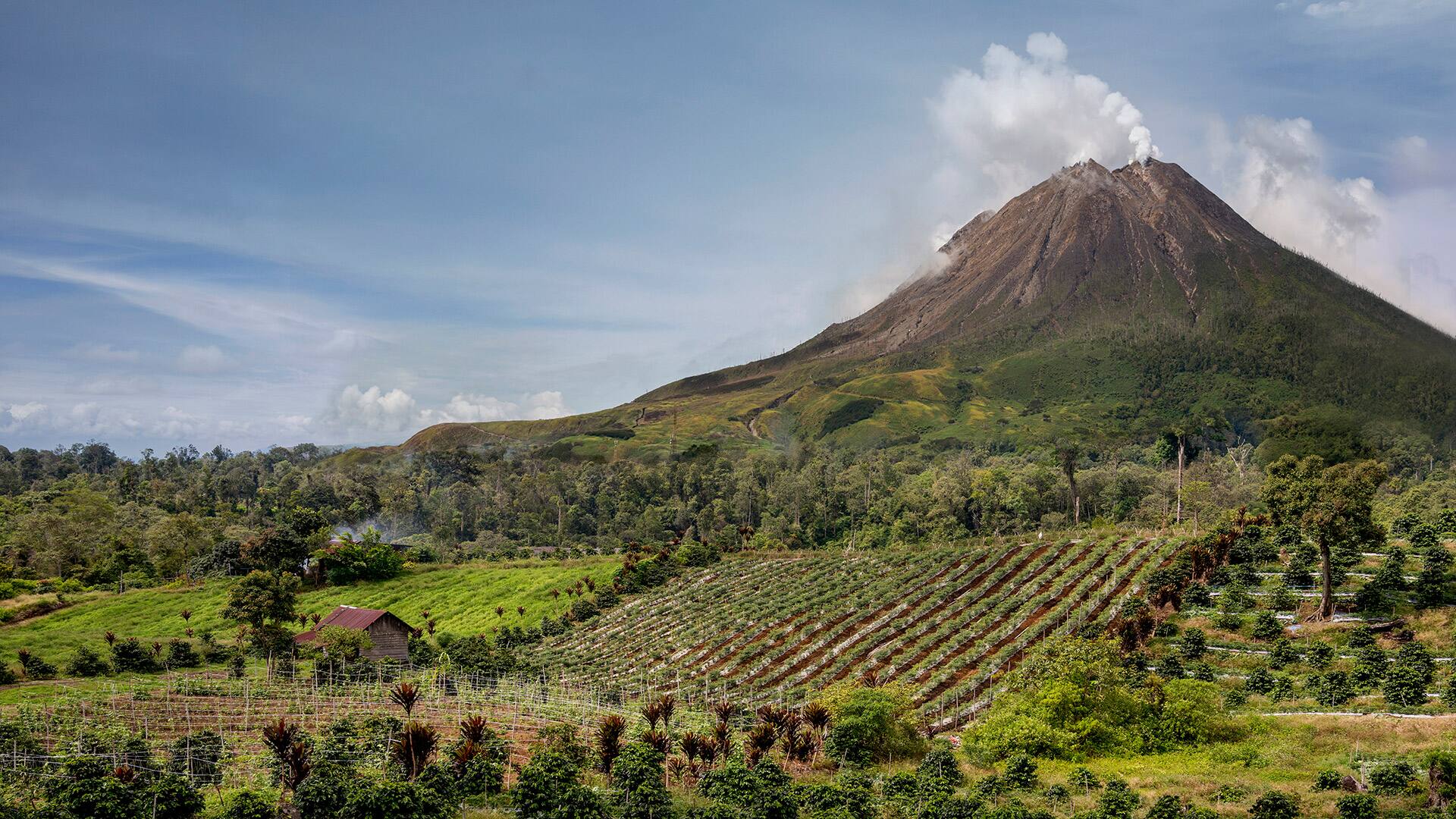 wildlife-and-nature-3-lake-toba-gi
