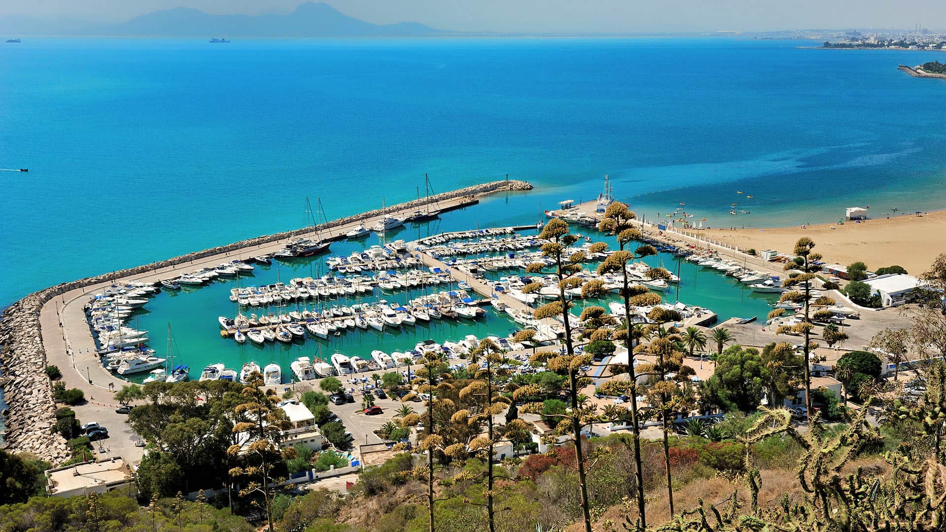 Sidi Bou Said, sailboats and motor boats in the port located below the village perched on a cliff