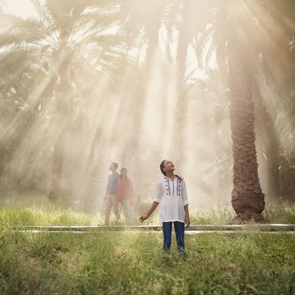 girl gazing at sky as sunlight comes through trees at al ain oasis near abu dhabi