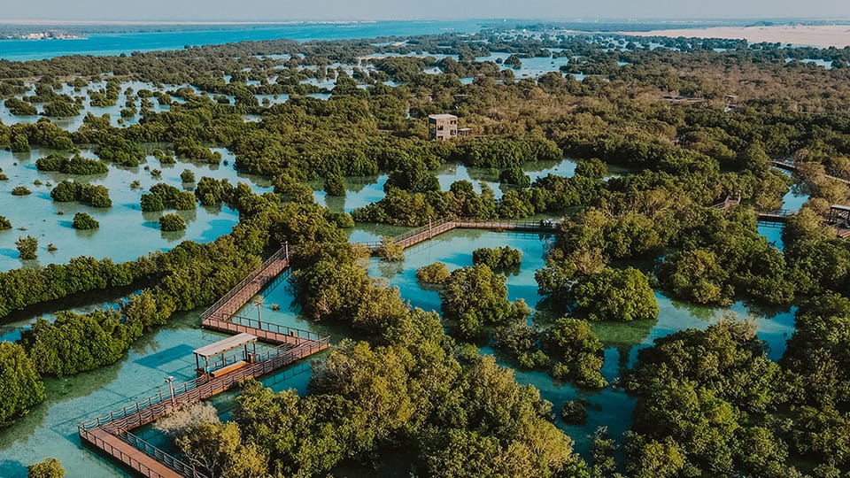 mangrove national park