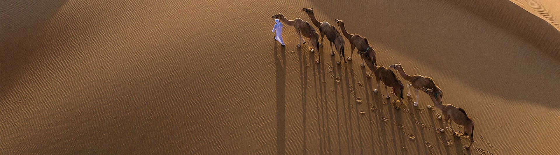 Abu Dhabi desert safari