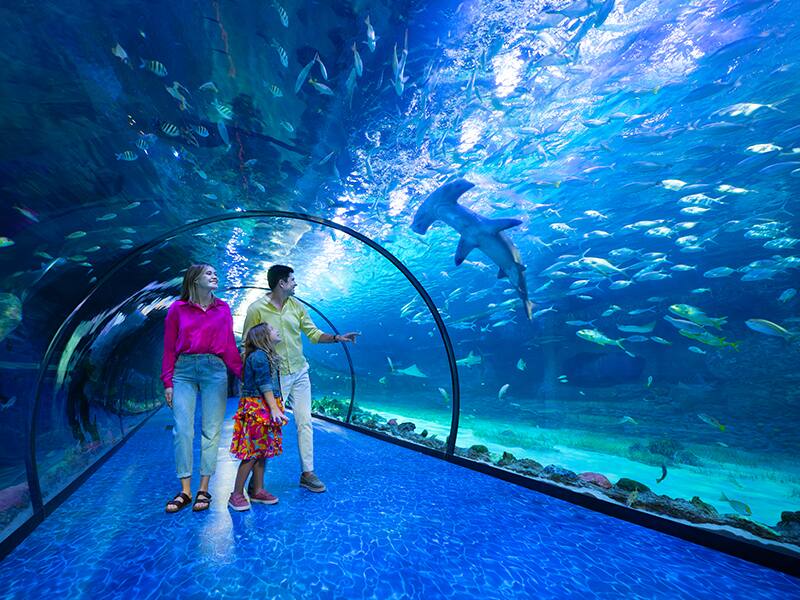 The National Aquarium