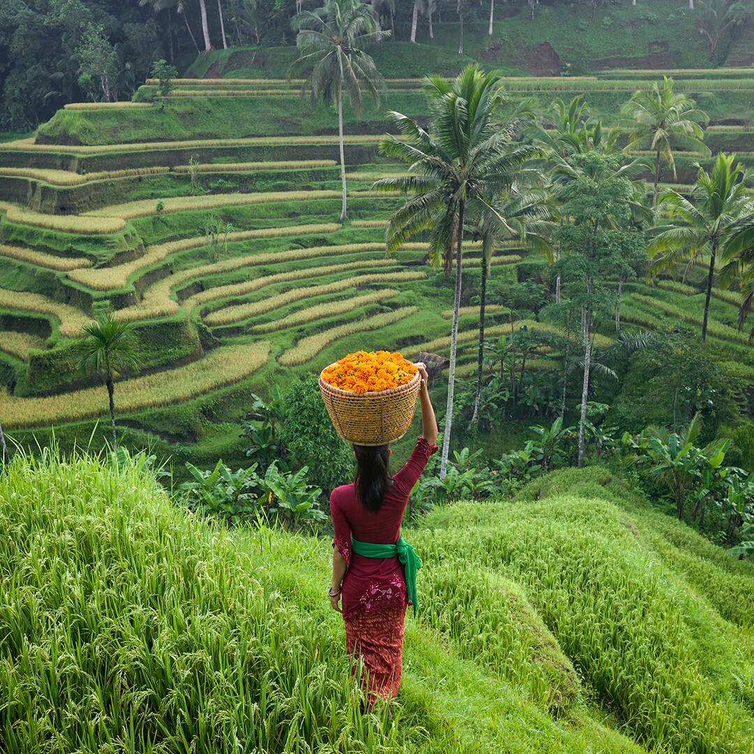 Young Balinese woman wearing traditional clothing