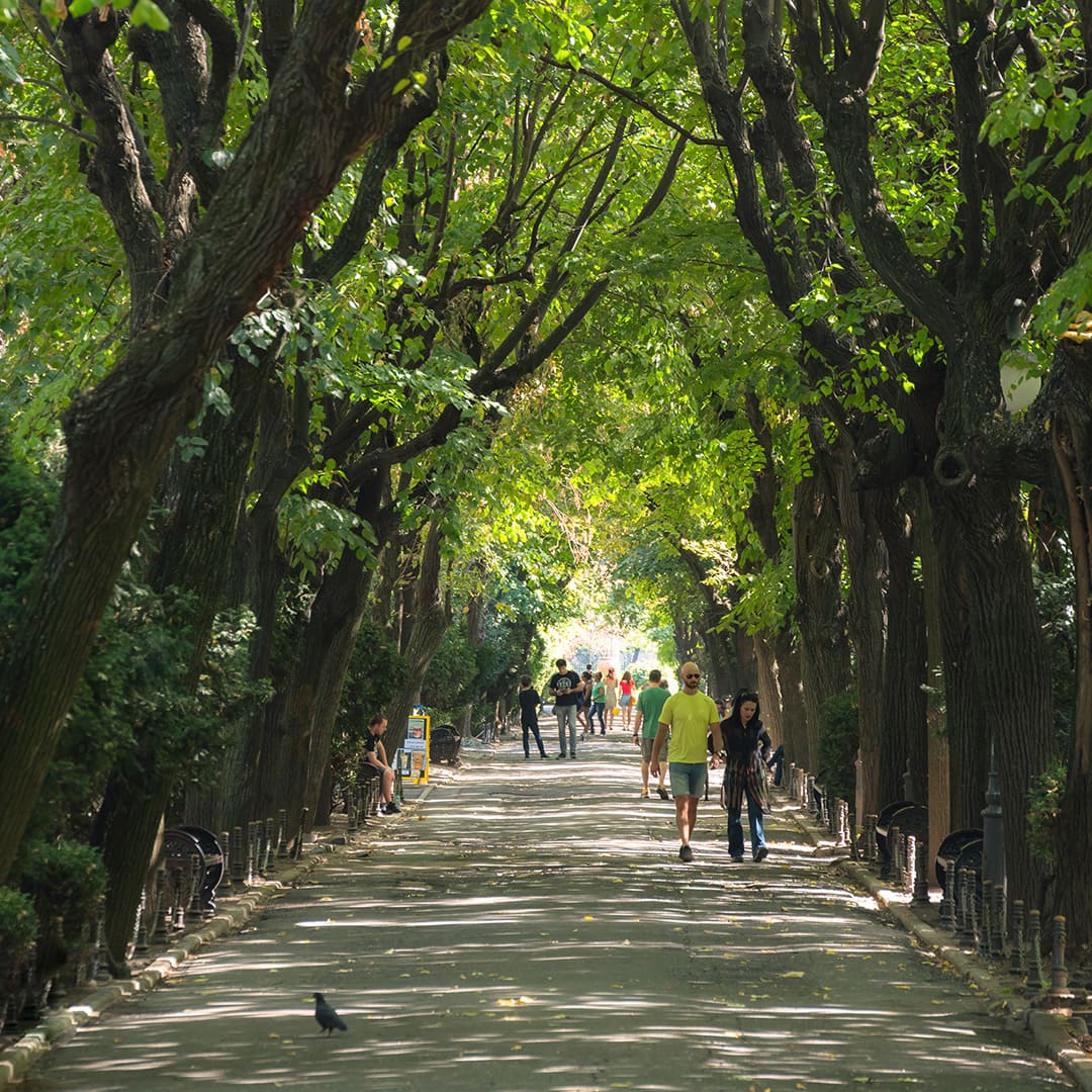 cismigiu garden