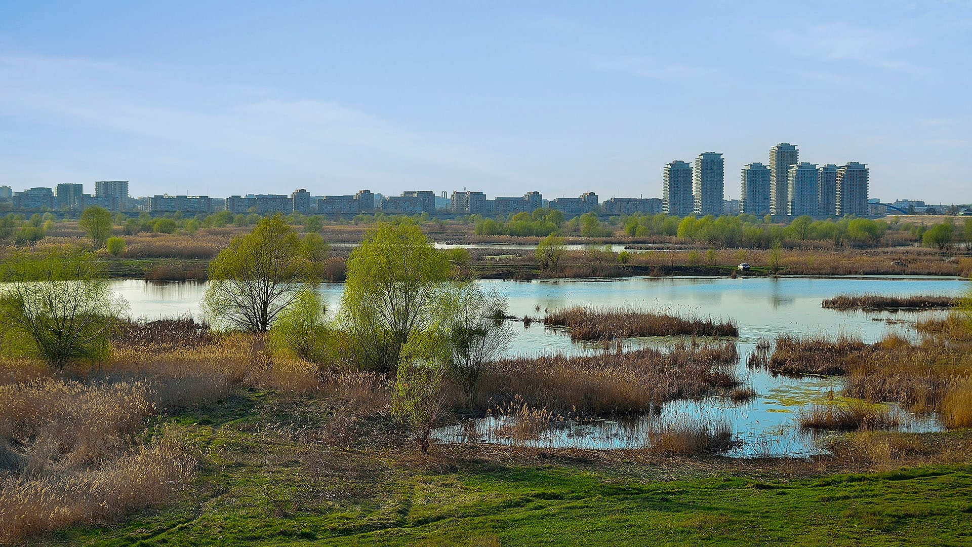 vacaresti nature park
