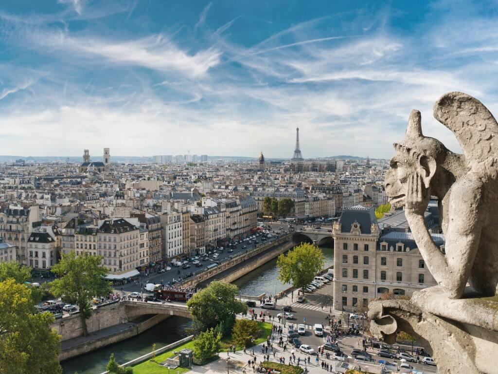 paris gargoyle aerial view