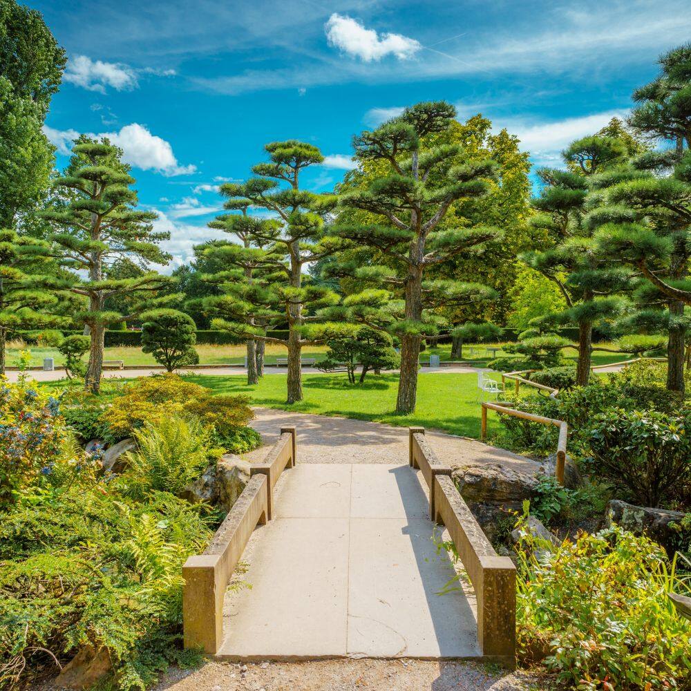 pretty japanese garden in dusseldorf’s nordpark 