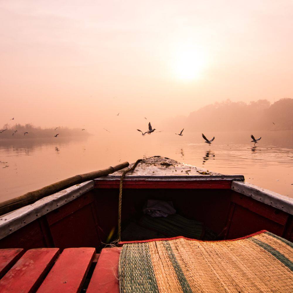 rowing on yamuna river in south delhi