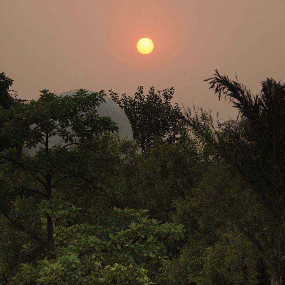 the five senses garden delhi