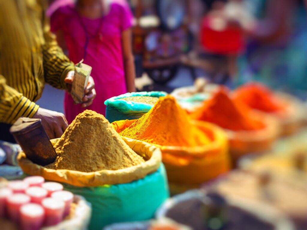 spice market in delhi india