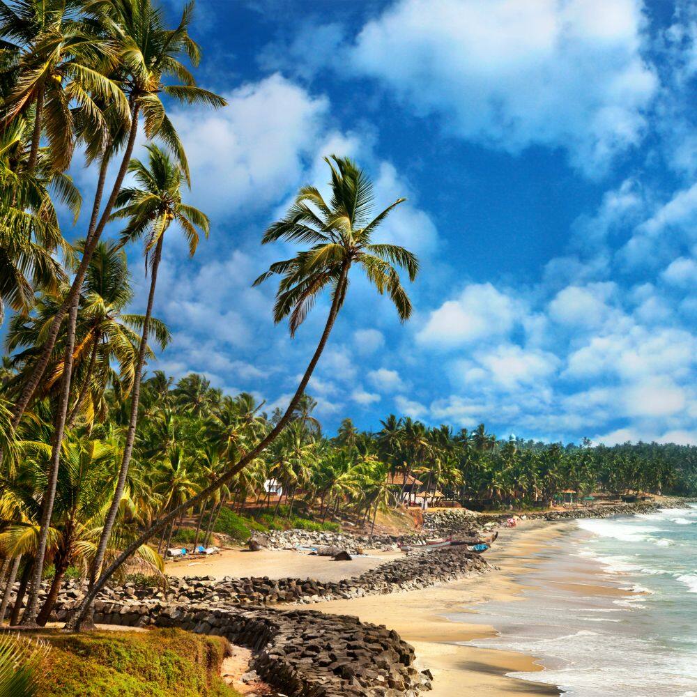 view of odayam beach surrounded by palm trees in india