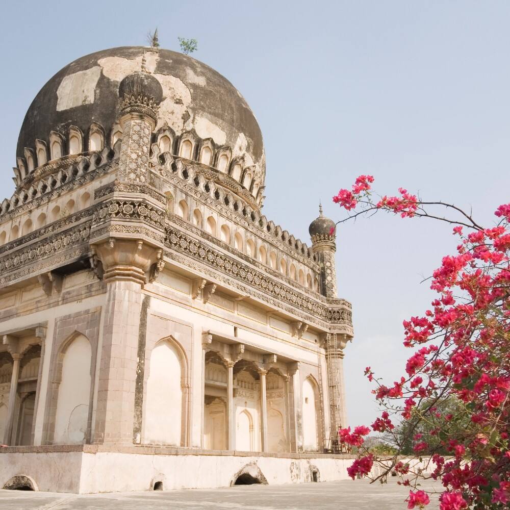 hydersbad old tomb with pink flowers in the foreground