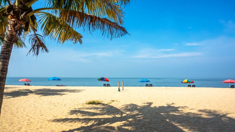 a beach in kochi with a few people lounging and a palm tree 