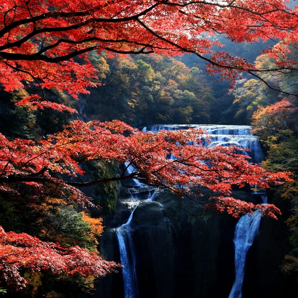 Wie ist das Wetter in Japan?