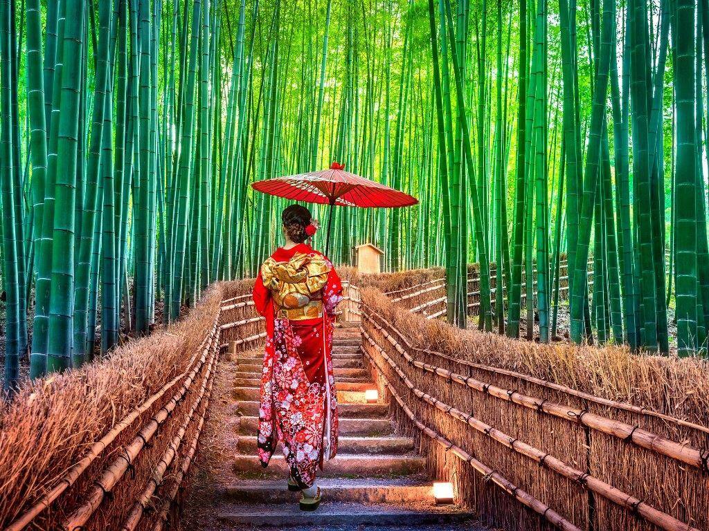 singapore infinity pool