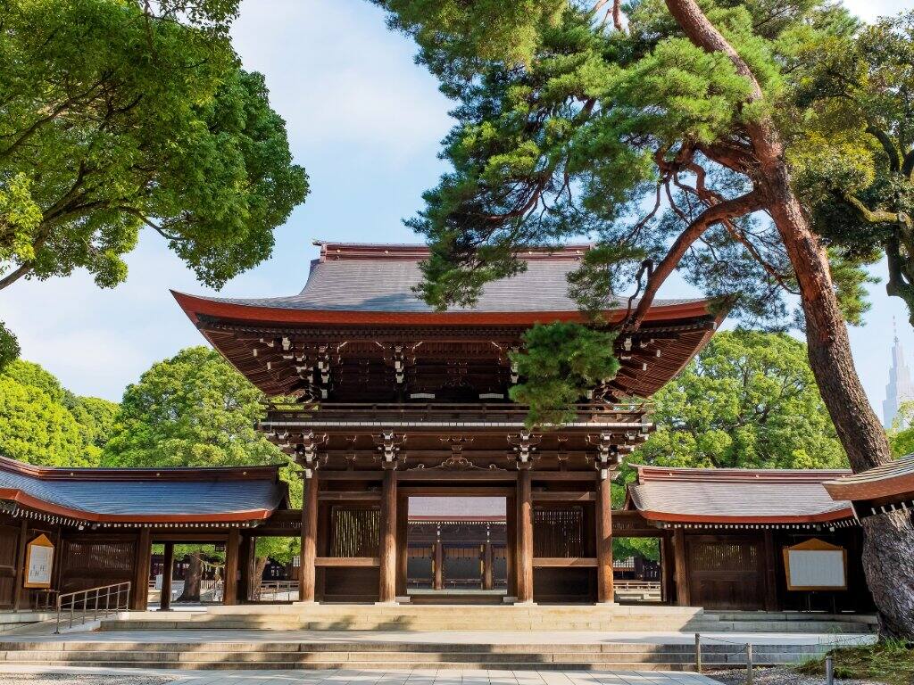 japan meji jingu temple trees