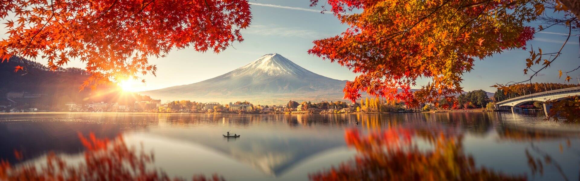 japan sunrise over mount fuji blossom tree