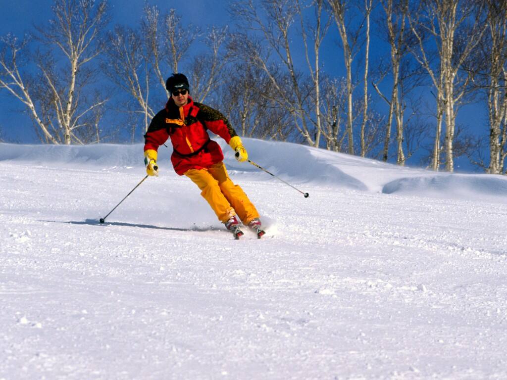 japan skier on snowy mountain