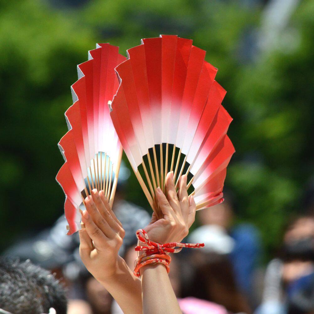 tokyo aoba festival fans