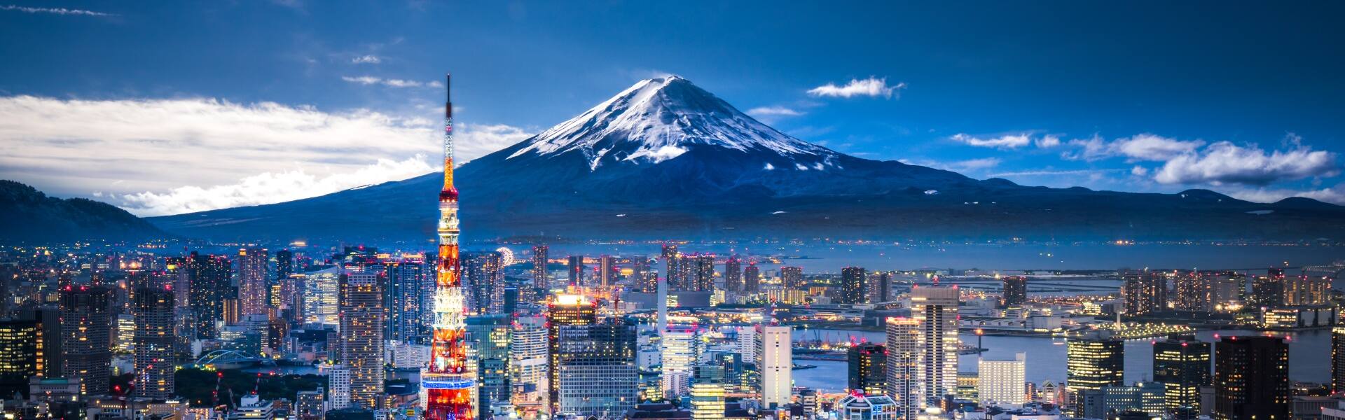 tokyo skyline with mountain in the background japan