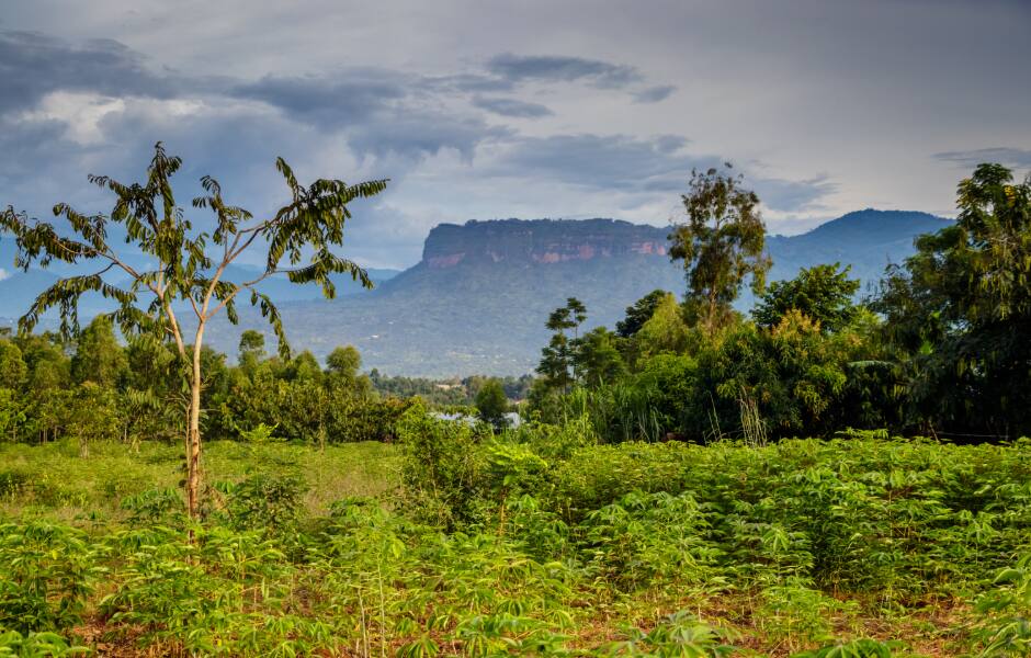 Book Flights To Kenya Etihad Airways