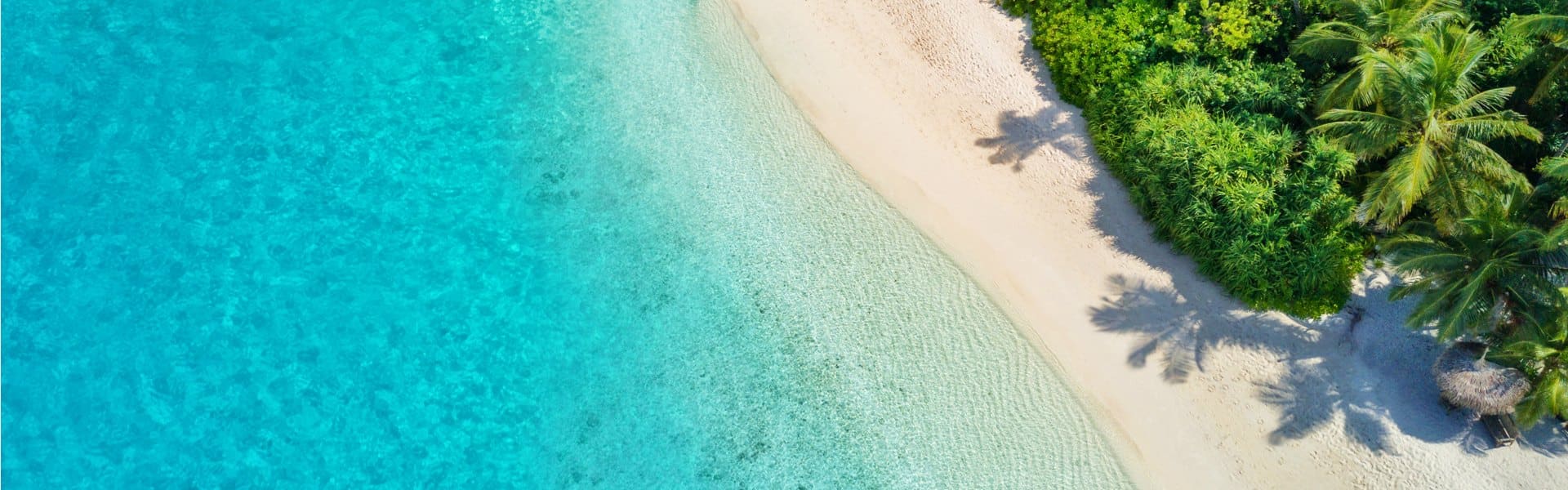 aerial photo of a beautiful tropical beach on island in maldives