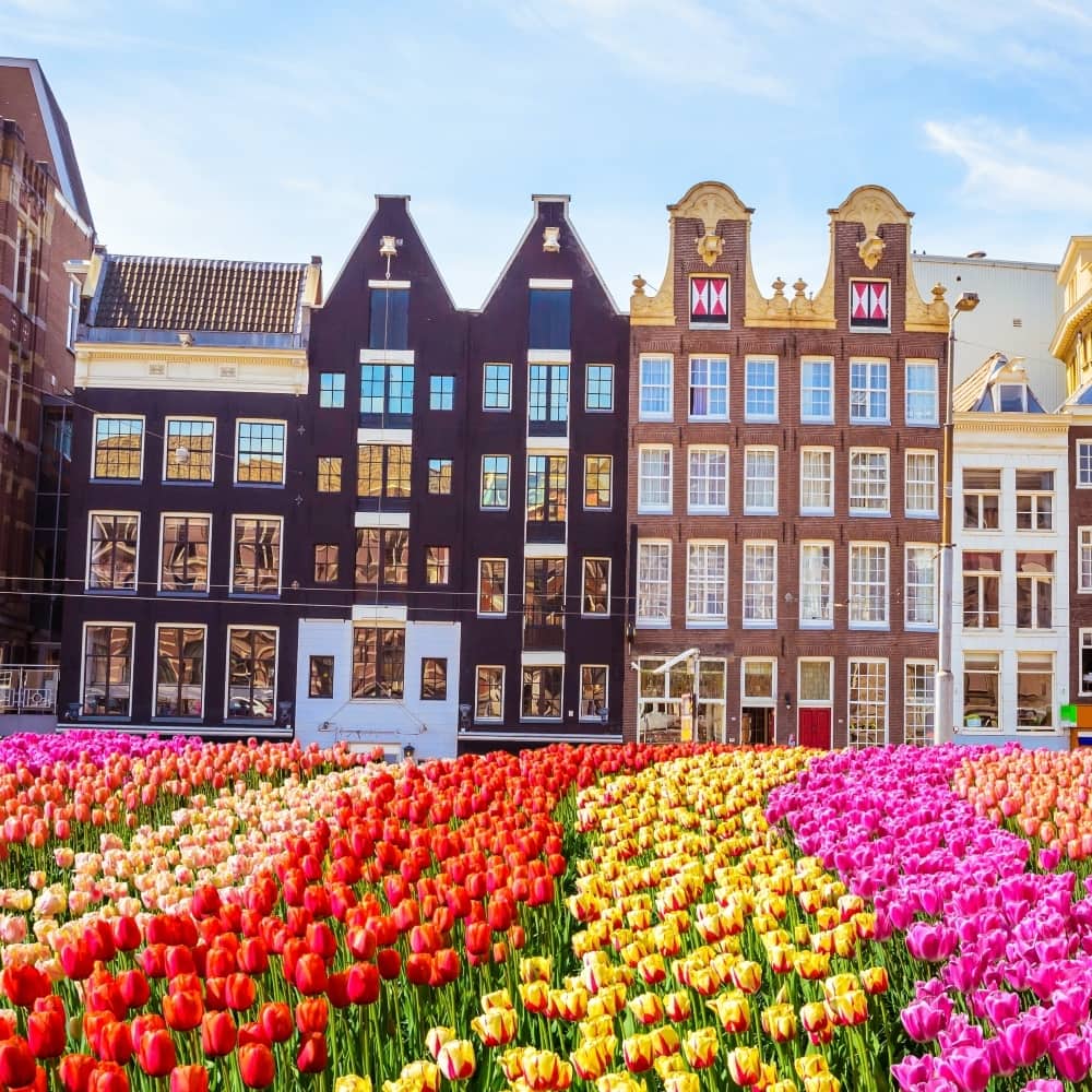 What’s the weather like in Amsterdam?