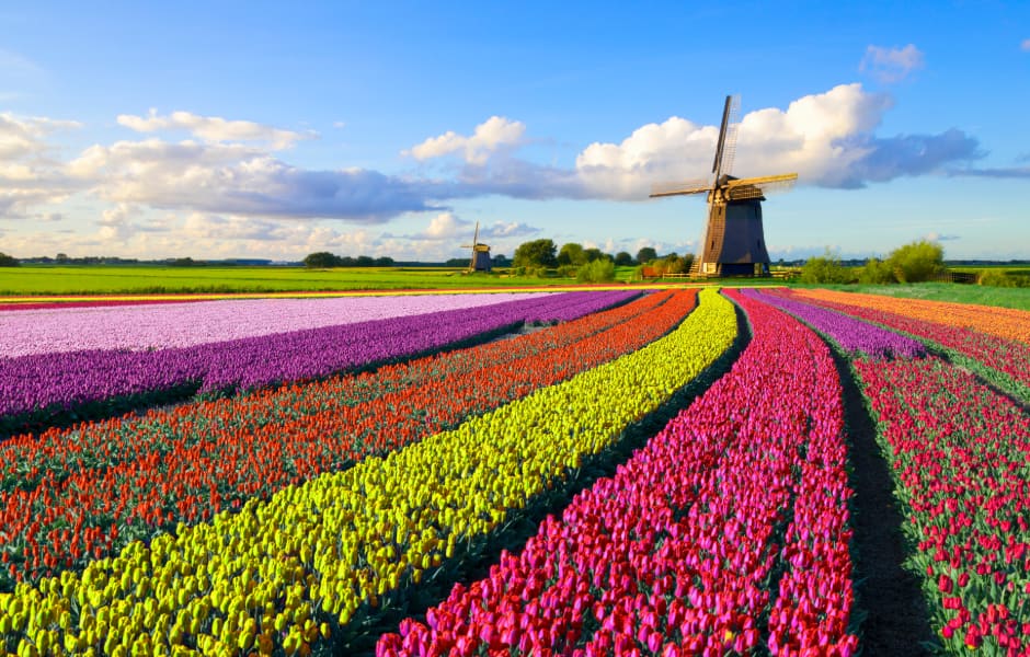 Book Flights To Netherlands Etihad Airways
