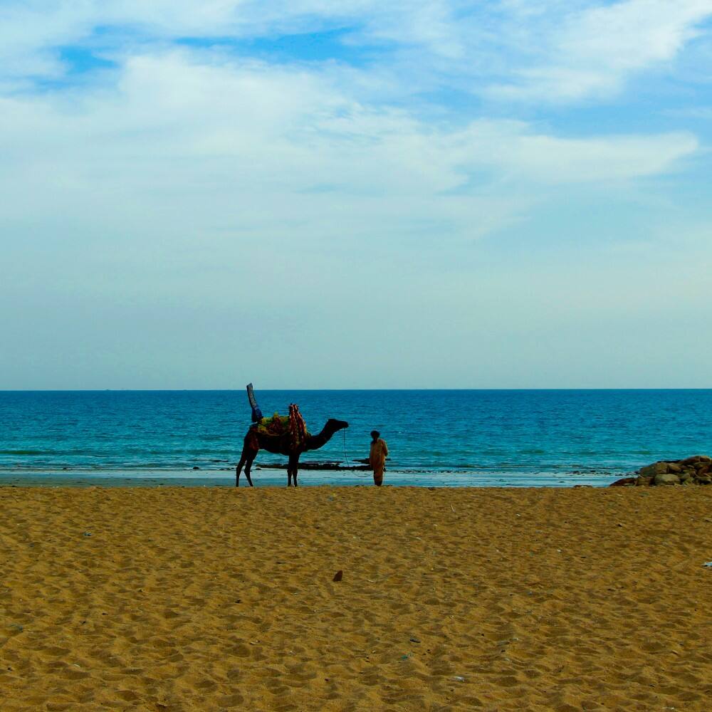 camel rides on the beach at karachi