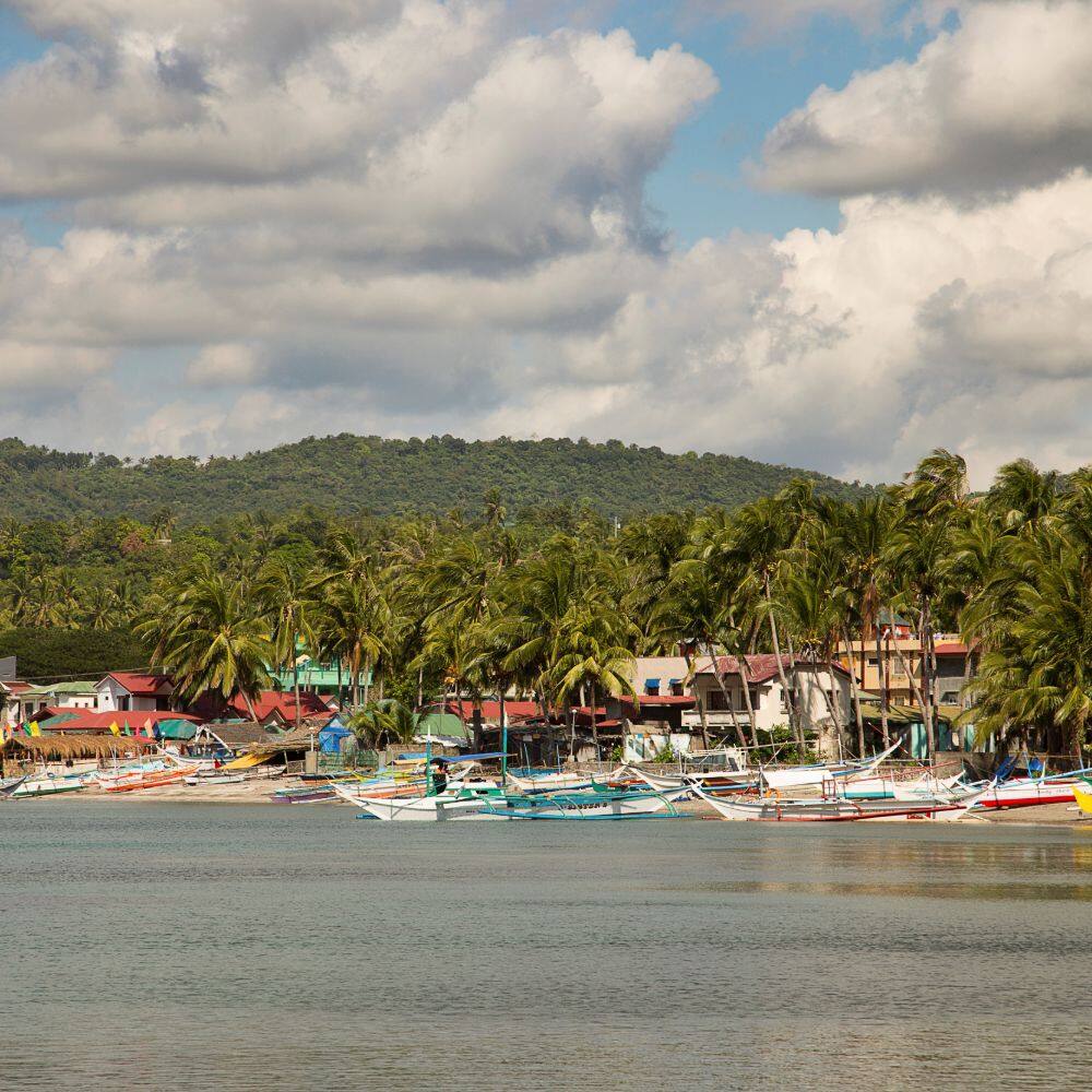 view of a a harbour with a forest behind in the philippines