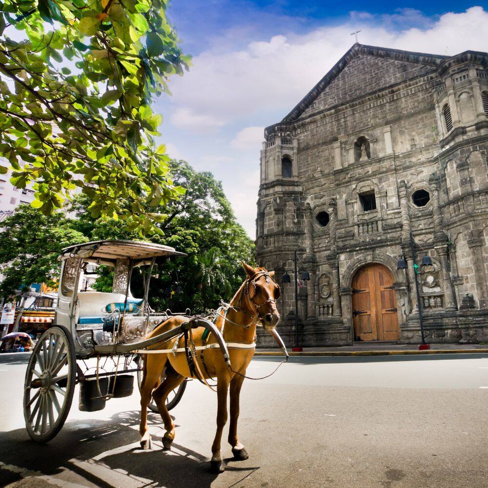 horse and carriage in front of malate church manila
