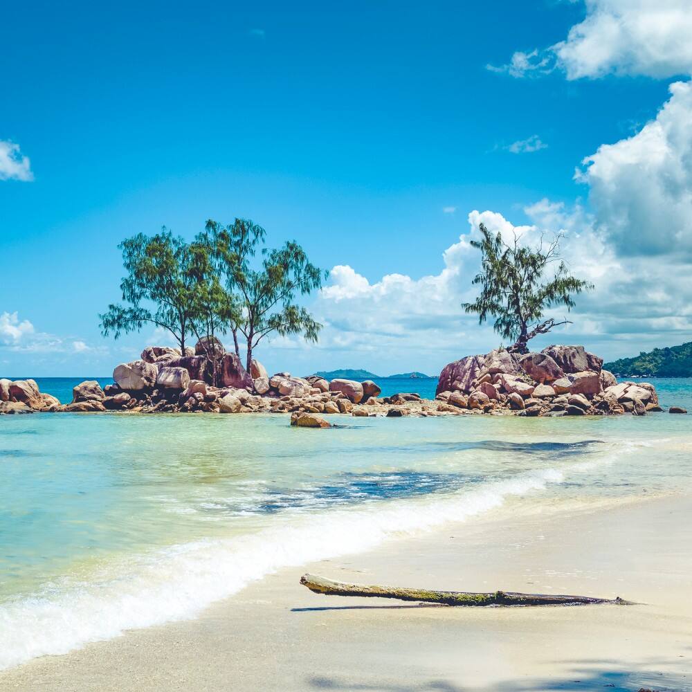 seychelles ocuan beach