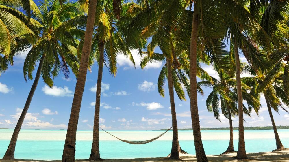 hammock between palm trees on beach in seychelles