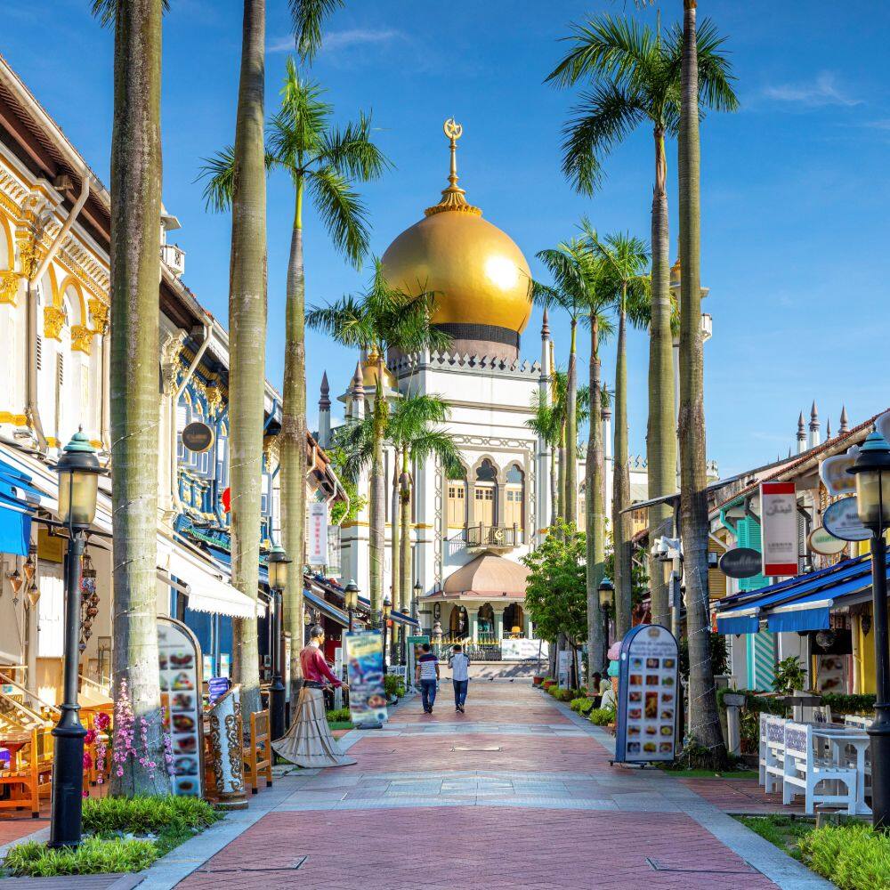 street view of the sultan mosque singapore 