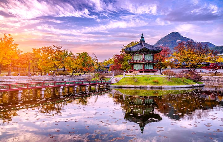 Book flights to South Korea | Etihad Airways