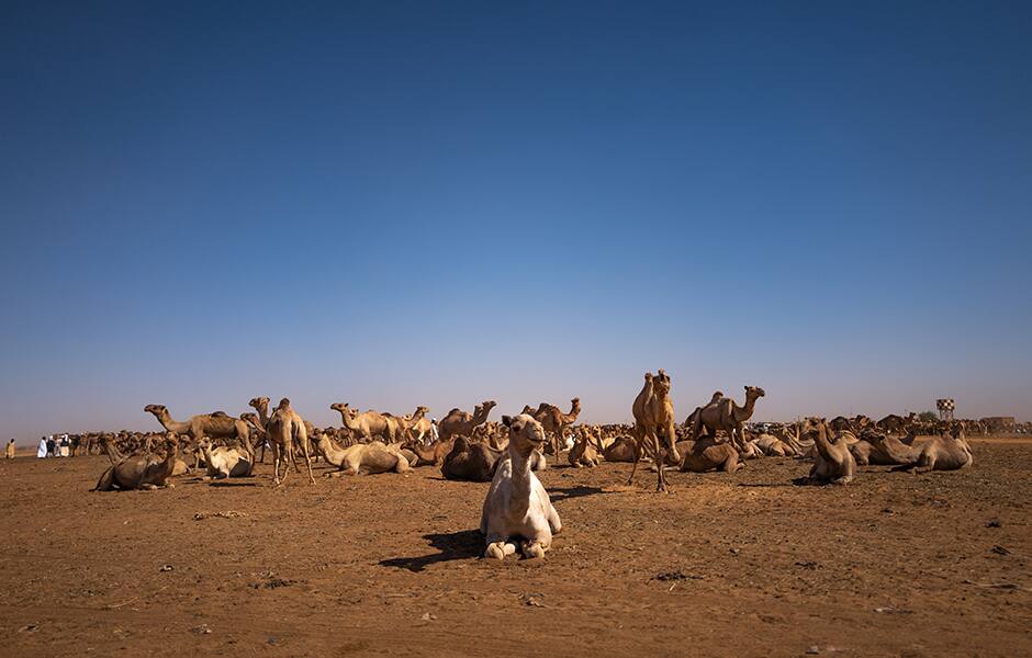 Book Flights To Khartoum Krt Etihad Airways