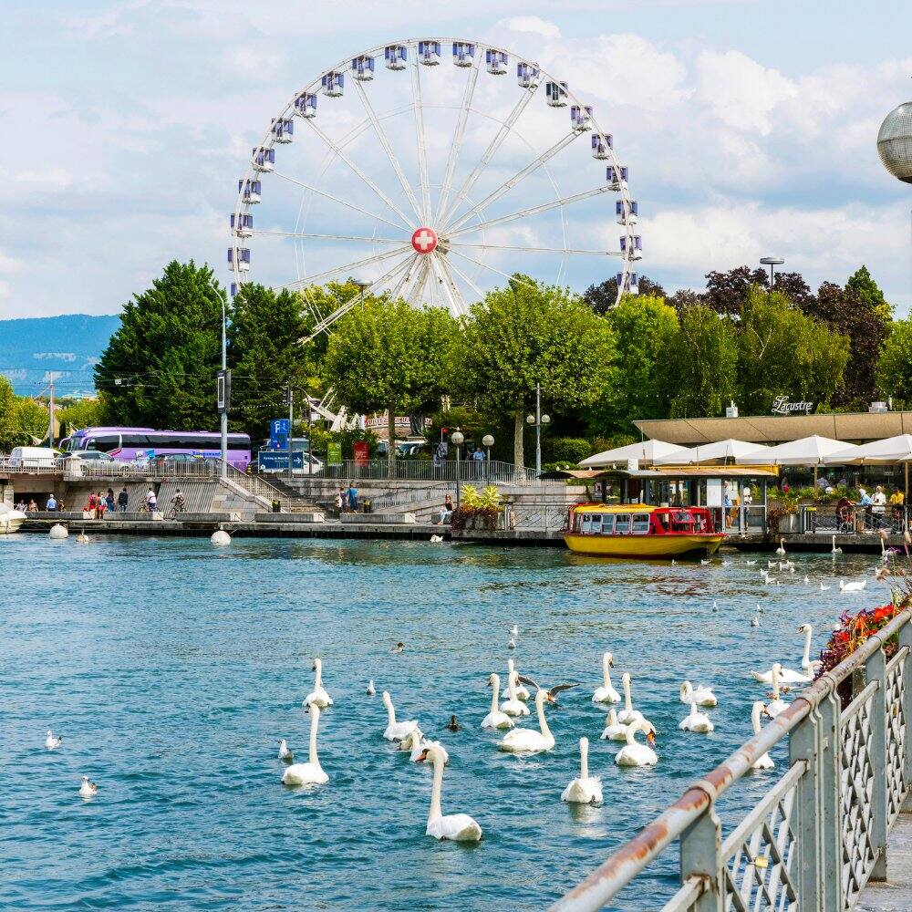 view of the harbour in geneva switzerland