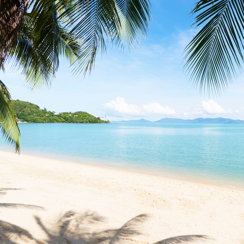 Book Flights To Ko Samui Usm Etihad Airways